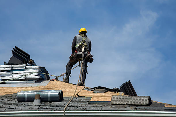 Professional Roofing technician working in Savanna, IL